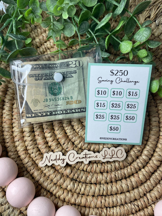 Mini Saving Challenge $250